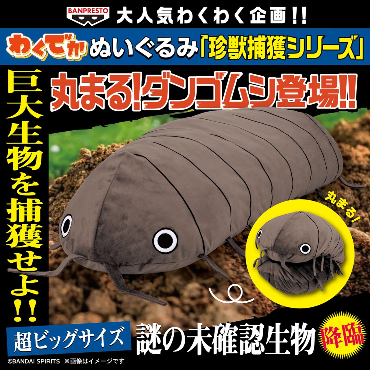 わくでかぬいぐるみ 珍獣捕獲シリーズ～丸まる！ダンゴムシ～