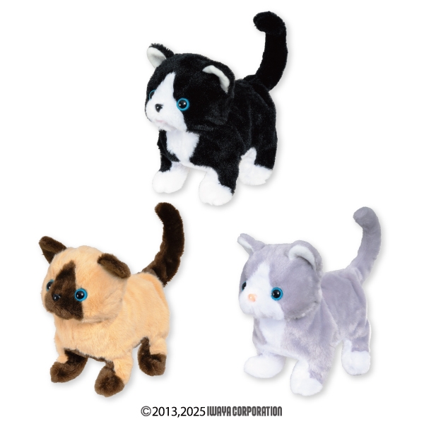 とことこ歩いてニャーニャー鳴く子猫たち2～タビーズ～